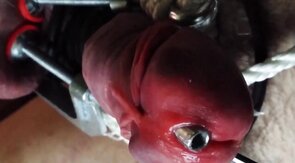 Stainless Tube CBT, Ball Clamps & Super Glue - Gay BDSM