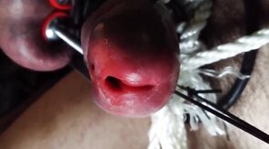 Stainless Tube CBT, Ball Clamps & Super Glue - Gay BDSM