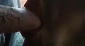 Blowjob in the Car with a Young Stud and an Older Gentleman