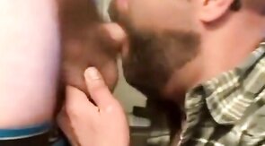 Bearded Bear Takes Two Loads to the Face