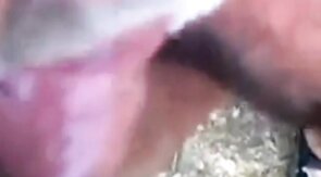 Je suce une grosse bite - partouze gay en plein air avec un ours amateur