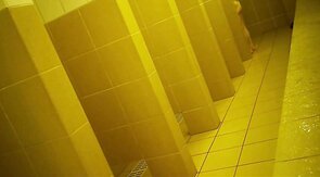 Bears Caught Naked in the Pool Shower