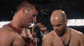 Sex slave is trying to suck two boners in the same time