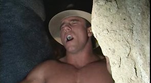 Sensual muscled rover is getting a perfect blowjob