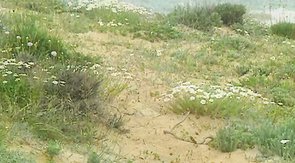 My boyfriend is a truly romantic lover