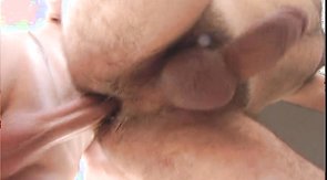 Long dick disappears in a tight anal of a bear