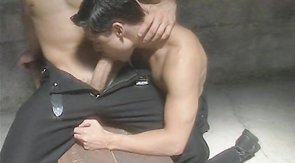 Picturesque blowjob by a muscled hunk