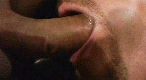 Bald man is sucking a boner like a professional