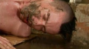 Bald pierced punk deepthroats a hard boner