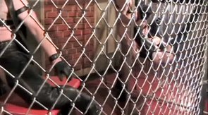 Leather-clad dudes and their sex-starved slaves