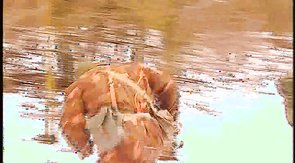 Intense gay drilling with three muscly hunks