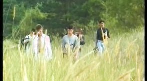 Colorfully dressed and really gay boys playing around