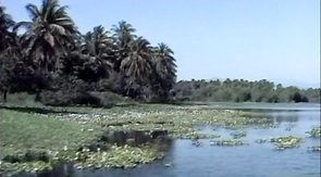 Hardcore fucking in the water, with two hung dudes