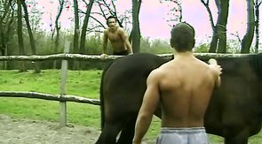 Real stallion: big-dicked stud gets blown outdoors