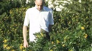 Seaside oral worship scene featuring two big-dicked gay guys