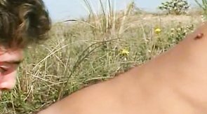 Passionate young men have a sweet outdoor fuck on the grass