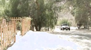 Amazing pal with huge dick is sucking his boyfriend's dick in 69 pose