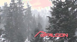 Muscular couch jumps on a huge dick of his workout partner