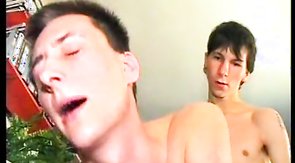Young gay amateurs sucking and fucking while they are at home