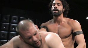 Good-looking dark-haired boyfriend is sucking a huge cock on the knees