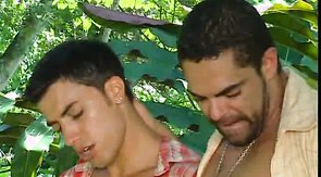 Hot lusty men are performing a gorgeous double blowjob