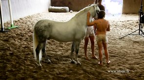 Sexy guys are showing off their amazing naked bodies