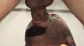 Dick-sucking bald dude is performing a good blowjob on the knees