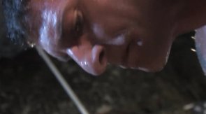 Bears fucking rough and hard because that's how they roll