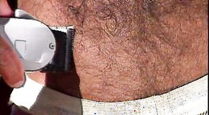 Muscle-bound bear shows off his bulging biceps in the woods