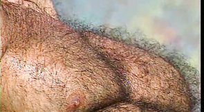 Bear with a big dick shows his boner and his chest hair