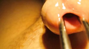 Urethral sounding and stretching with cumshot