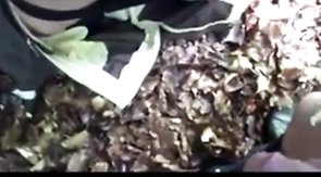 Wichsen und Lutschen im Wald