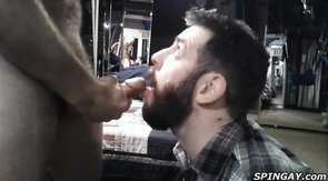 Beraded Dude Swallowing Cum From Hairy Cock