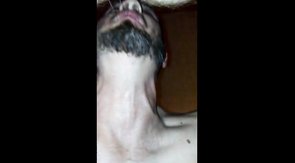 Hello KC!! Dane,  Viking & a Ginger Cub