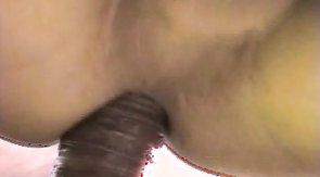 Great anal sex on a tree in the video by Hung BF