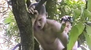 Great outdoor anal sex on a tree in the park