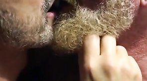 Hairy bears passionate kissing