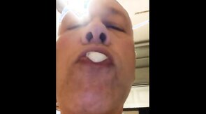 Just The Swallows - MWM Swallows 14 Loads