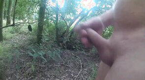 wanking in the cornfield and cumming in the woods