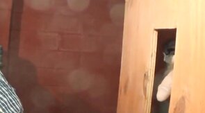 Big Lip Black Swallows White Boy Nut