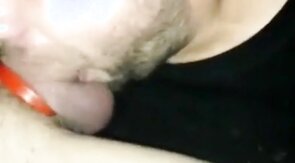 finntom is a cocksucker
