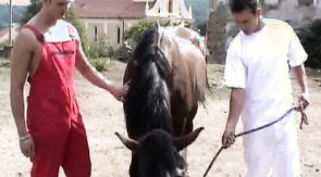 Two spicy horsemen are enjoying oral sex in the barn