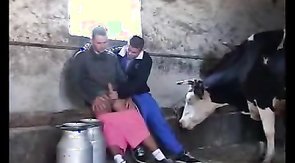 Astonishing farmers are enjoying oral sex in the barn