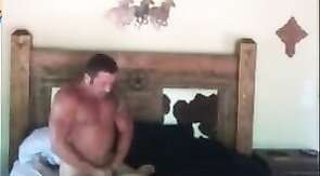 Vebal White Cowboy Breeds Black Jock Bitch