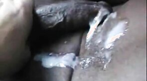 Milking the Homeless