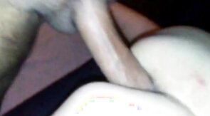 Straight latin baby daddy breeds me