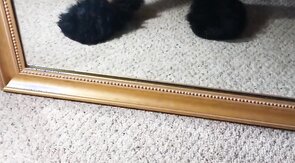 Hard Dick In Pantyhose Stockings