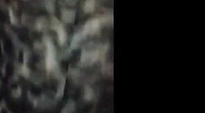 Big Sissy Ass Fucked 2