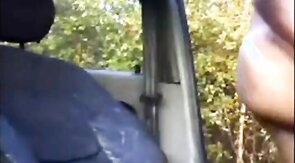 Montage of getting naked in a car and getting off.