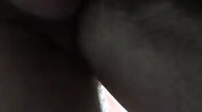 getting bred by daddy